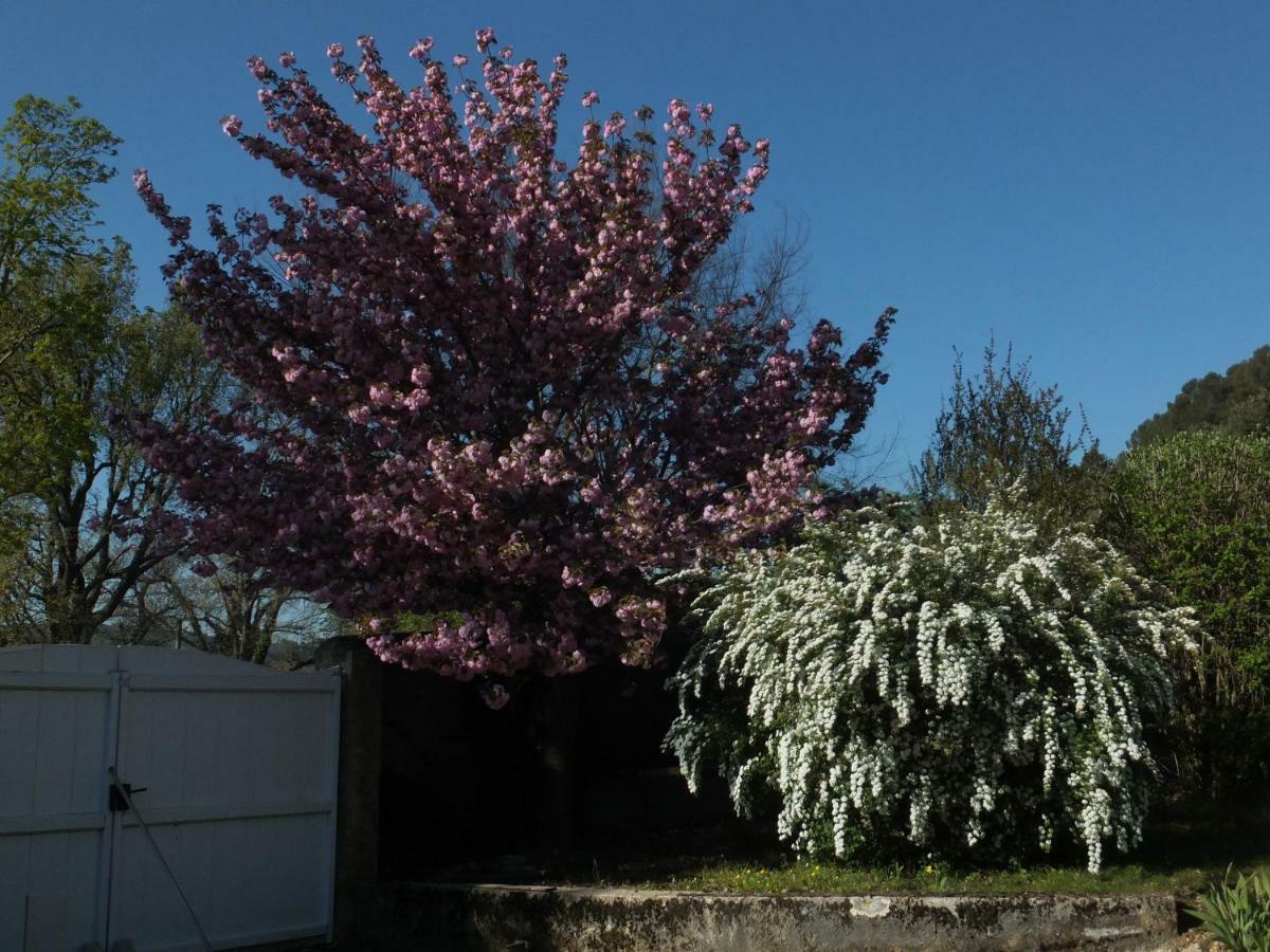 Bastide Du Bonheur Saint Donat Bed and Breakfast Gréoux-les-Bains Buitenkant foto